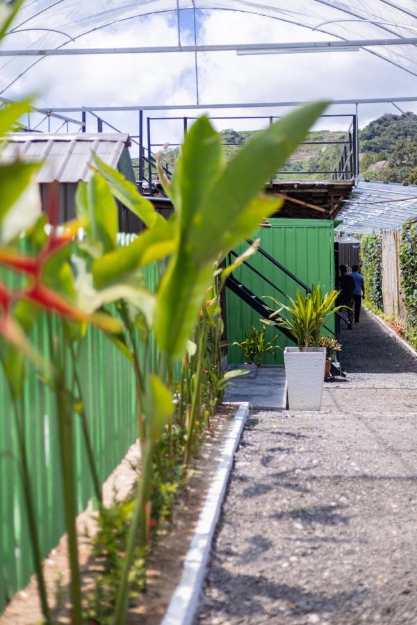 Glamz Hills Hotel Cameron Highlands Bagian luar foto