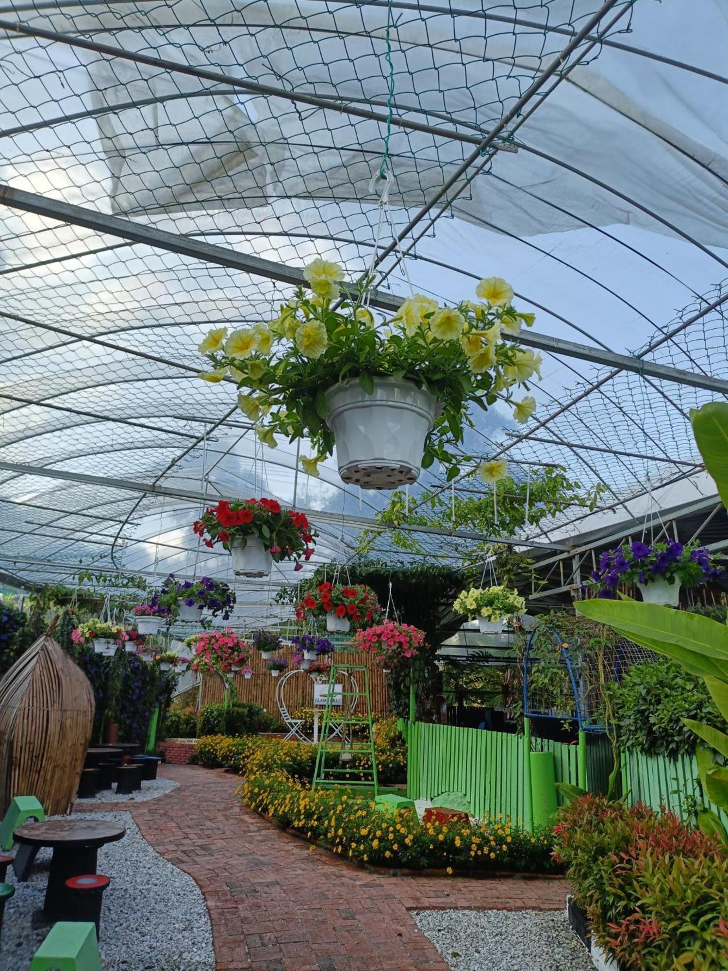 Glamz Hills Hotel Cameron Highlands Bagian luar foto
